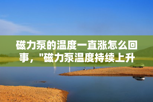 磁力泵的温度一直涨怎么回事，