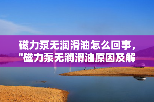 磁力泵无润滑油怎么回事，