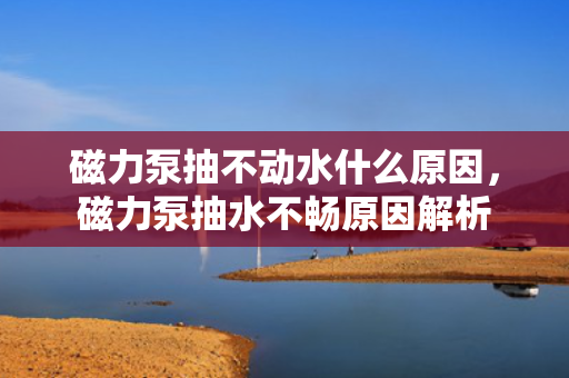 磁力泵抽不动水什么原因，磁力泵抽水不畅原因解析