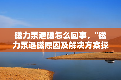 磁力泵退磁怎么回事，