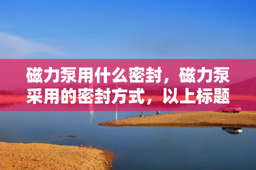 磁力泵用什么密封，磁力泵采用的密封方式，以上标题简洁明了地表达了磁力泵所使用的密封方式，符合标题的要求。