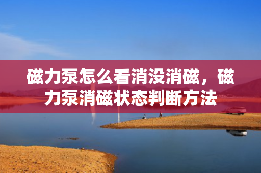 磁力泵怎么看消没消磁，磁力泵消磁状态判断方法