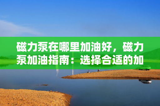磁力泵在哪里加油好，磁力泵加油指南：选择合适的加油点以确保泵的性能与寿命