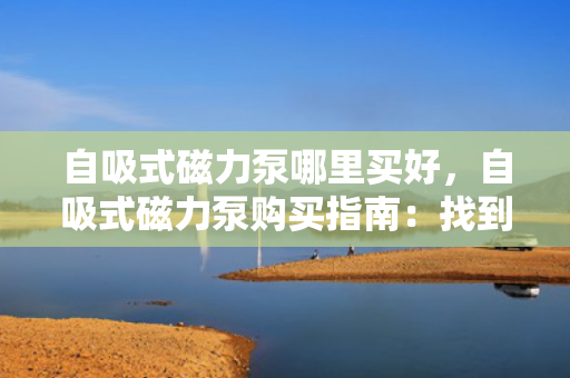 自吸式磁力泵哪里买好，自吸式磁力泵购买指南：找到最优质的购买地点