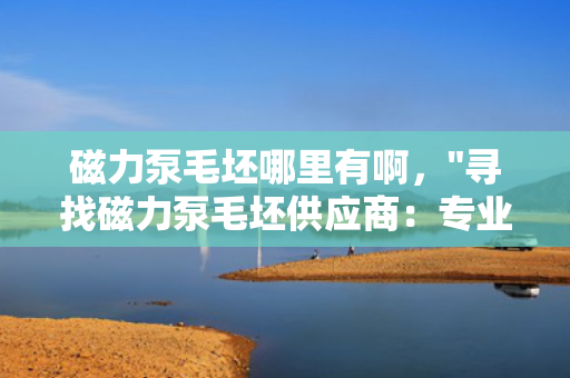 磁力泵毛坯哪里有啊，