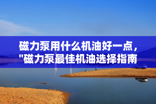 磁力泵用什么机油好一点，