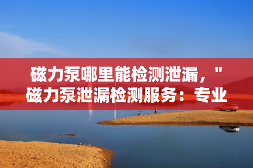 磁力泵哪里能检测泄漏，