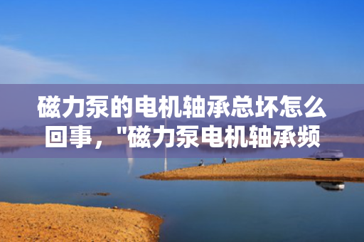 磁力泵的电机轴承总坏怎么回事，
