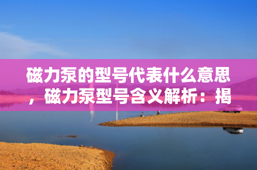 磁力泵的型号代表什么意思，磁力泵型号含义解析：揭秘磁力泵型号背后的信息