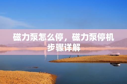 磁力泵怎么停，磁力泵停机步骤详解