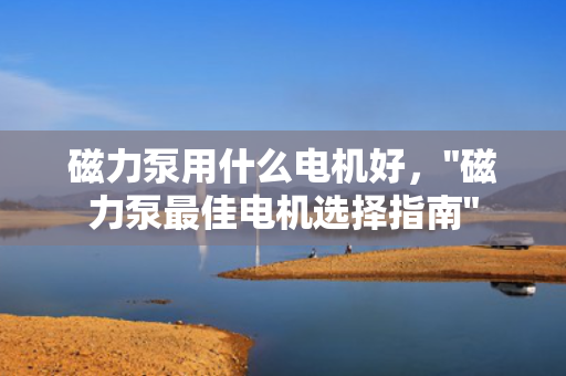 磁力泵用什么电机好，