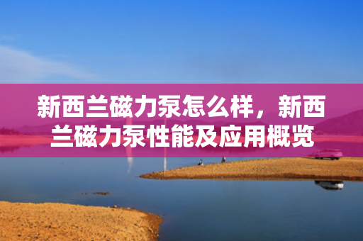 新西兰磁力泵怎么样，新西兰磁力泵性能及应用概览