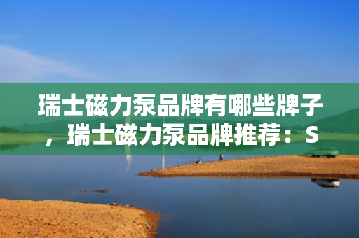 瑞士磁力泵品牌有哪些牌子，瑞士磁力泵品牌推荐：Sulzer。，Sulzer是瑞士的一家成立于1834年的知名磁力泵品牌，也是全球领先的工程设备制造商之一。该品牌的磁力泵具有高效、稳定、安全的特点，广泛应用于化工、石油、制药等行业。，以上内容仅供参考，建议咨询磁力泵相关技术人员获取更多信息。