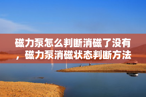 磁力泵怎么判断消磁了没有，磁力泵消磁状态判断方法