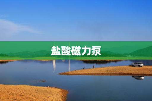 盐酸磁力泵