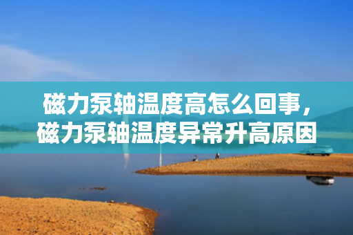 磁力泵轴温度高怎么回事，磁力泵轴温度异常升高原因及解决方案探讨