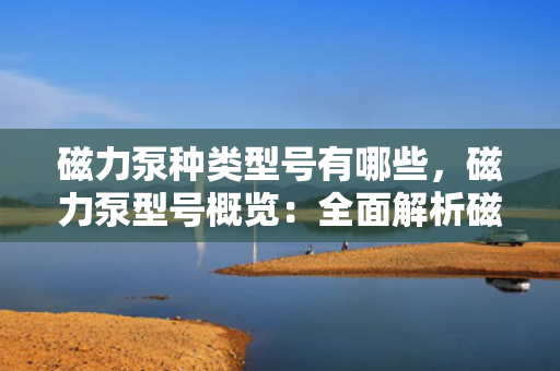 磁力泵种类型号有哪些，磁力泵型号概览：全面解析磁力泵的种类与型号