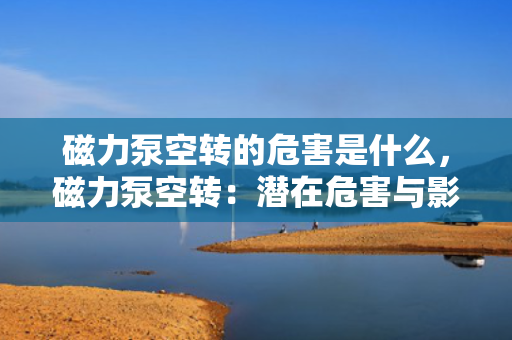 磁力泵空转的危害是什么，磁力泵空转：潜在危害与影响解析