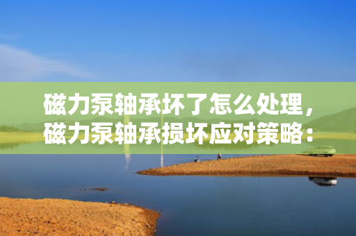 磁力泵轴承坏了怎么处理，磁力泵轴承损坏应对策略：专业维修与更换指南