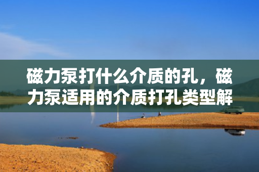 磁力泵打什么介质的孔，磁力泵适用的介质打孔类型解析