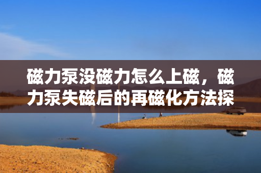磁力泵没磁力怎么上磁，磁力泵失磁后的再磁化方法探讨