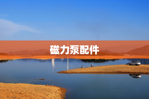 磁力泵配件