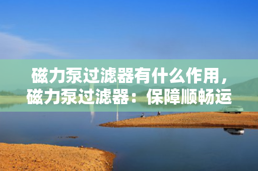 磁力泵过滤器有什么作用，磁力泵过滤器：保障顺畅运行与防止杂质损害的关键