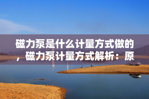 磁力泵是什么计量方式做的，磁力泵计量方式解析：原理、应用与优势
