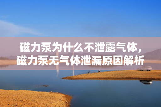 磁力泵为什么不泄露气体，磁力泵无气体泄漏原因解析