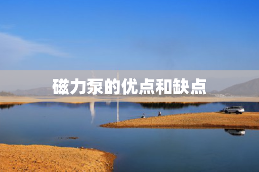 磁力泵的优点和缺点