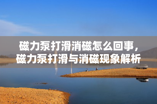 磁力泵打滑消磁怎么回事，磁力泵打滑与消磁现象解析