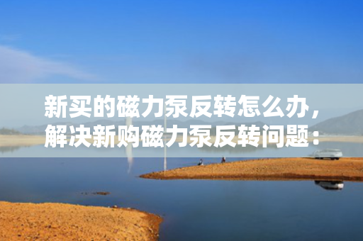 新买的磁力泵反转怎么办，解决新购磁力泵反转问题：一步到位的操作指南