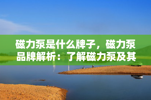 磁力泵是什么牌子，磁力泵品牌解析：了解磁力泵及其市场主流品牌