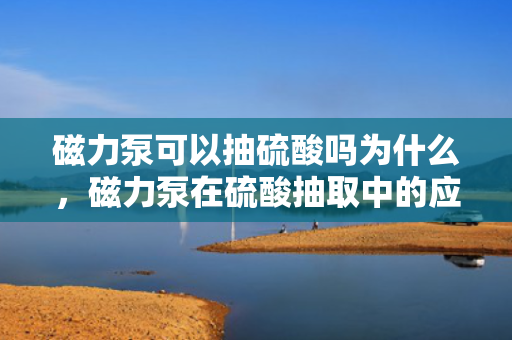 磁力泵可以抽硫酸吗为什么，磁力泵在硫酸抽取中的应用及其原因解析