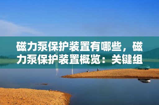 磁力泵?；ぷ爸糜心男?，磁力泵保护装置概览：关键组件与功能解析
