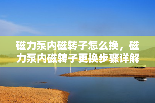 磁力泵内磁转子怎么换，磁力泵内磁转子更换步骤详解