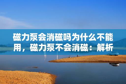 磁力泵会消磁吗为什么不能用，磁力泵不会消磁：解析其工作原理及适用限制