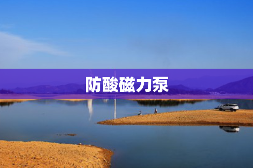 防酸磁力泵