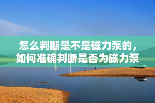 怎么判断是不是磁力泵的，如何准确判断是否为磁力泵