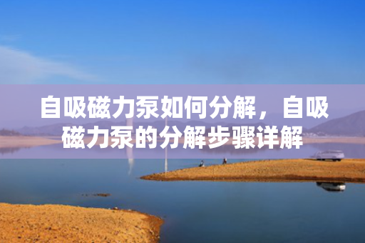 自吸磁力泵如何分解，自吸磁力泵的分解步骤详解