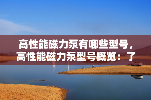 高性能磁力泵有哪些型号，高性能磁力泵型号概览：了解不同型号的特点与应用