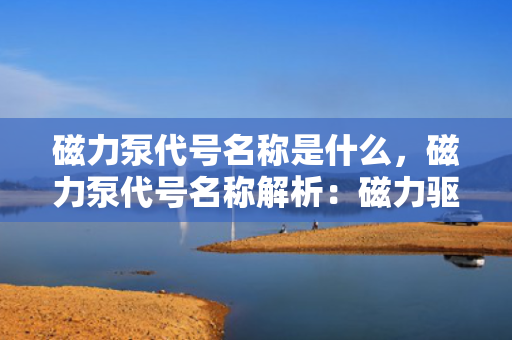 磁力泵代号名称是什么，磁力泵代号名称解析：磁力驱动泵的标识与命名规则