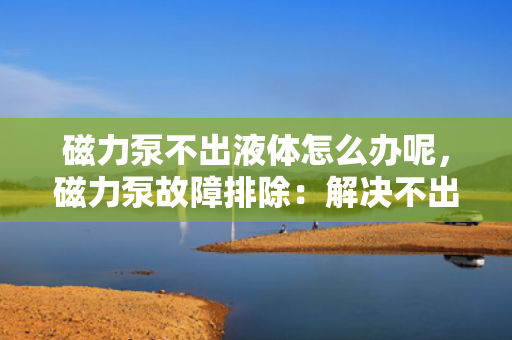 磁力泵不出液体怎么办呢，磁力泵故障排除：解决不出液体问题的实用指南