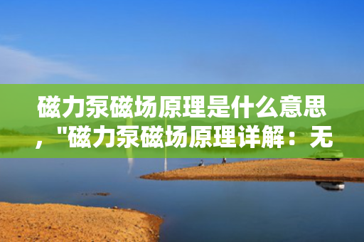 磁力泵磁场原理是什么意思，