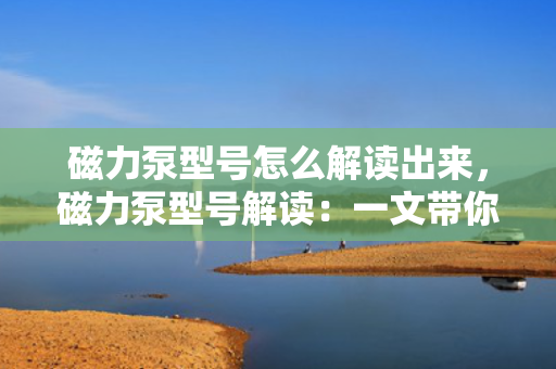 磁力泵型号怎么解读出来，磁力泵型号解读：一文带你了解磁力泵型号的含义与识别方法