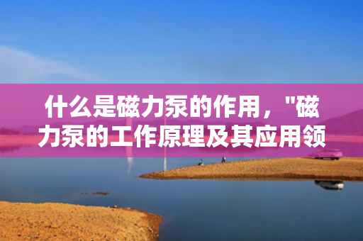 什么是磁力泵的作用，