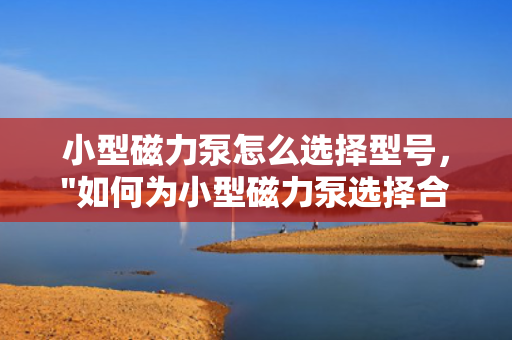 小型磁力泵怎么选择型号，
