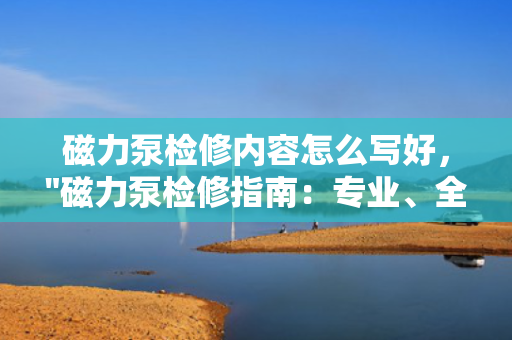 磁力泵检修内容怎么写好，
