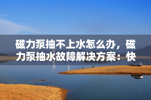 磁力泵抽不上水怎么办，磁力泵抽水故障解决方案：快速排查与修复指南