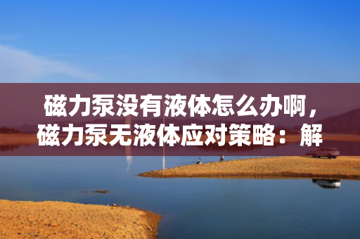 磁力泵没有液体怎么办啊，磁力泵无液体应对策略：解决方法与操作指南